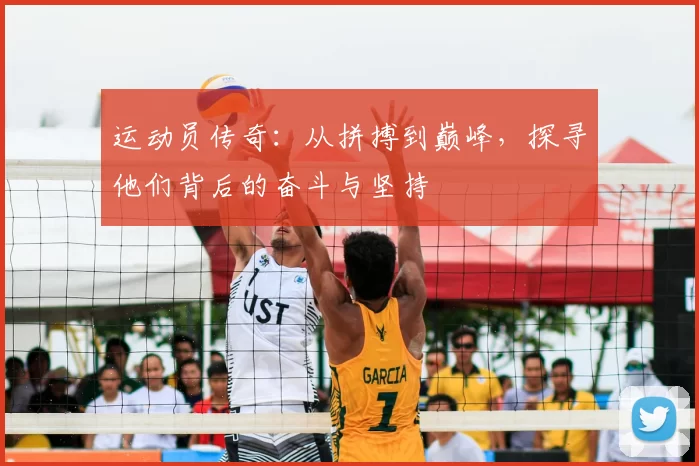 运动员传奇：从拼搏到巅峰，探寻他们背后的奋斗与坚持