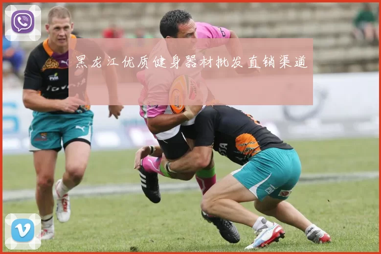 黑龙江优质健身器材批发直销渠道