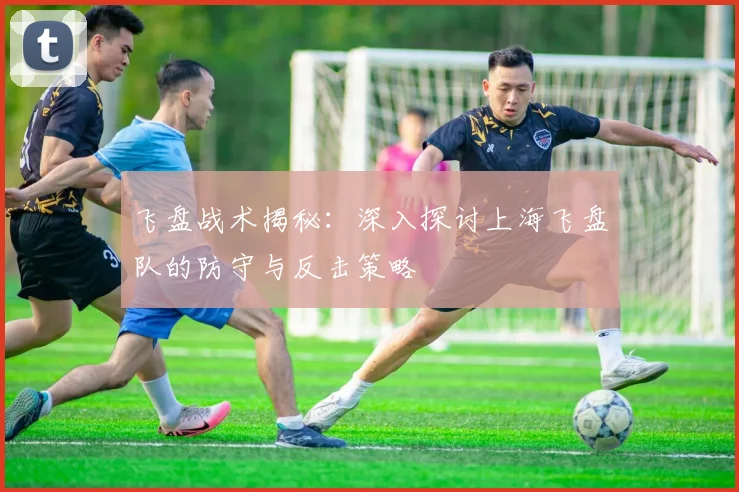 飞盘战术揭秘：深入探讨上海飞盘队的防守与反击策略