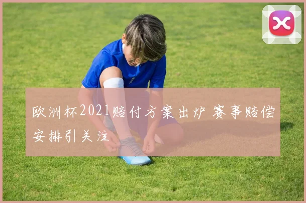 欧洲杯2021赔付方案出炉 赛事赔偿安排引关注