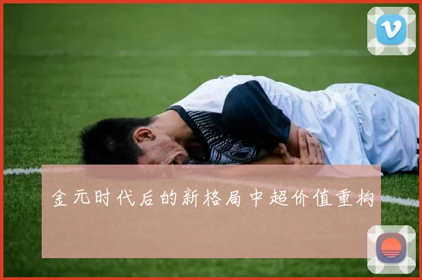 金元时代后的新格局中超价值重构