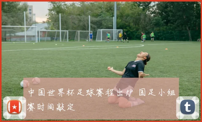 中国世界杯足球赛程出炉 国足小组赛时间敲定