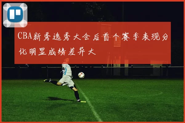 CBA新秀选秀大会后首个赛季表现分化明显成绩差异大